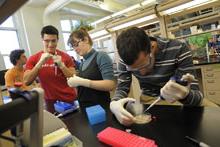 photo of students in lab